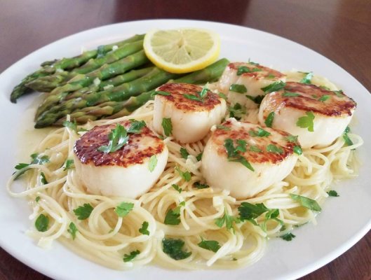pan seared scallops on pasta.jpg