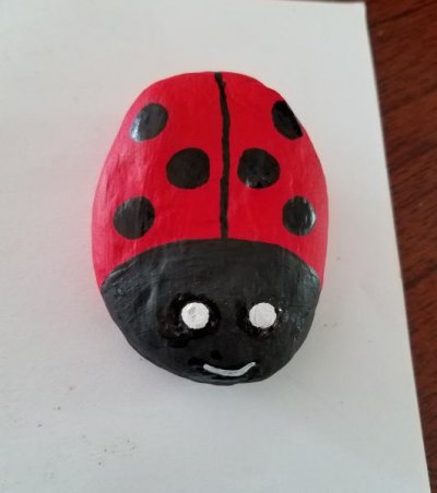 Rock ladybug.jpg