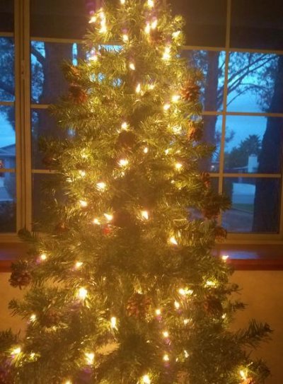 Christmas Tree 2018 (2).jpg