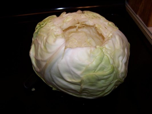 stuffed cabbage.jpg