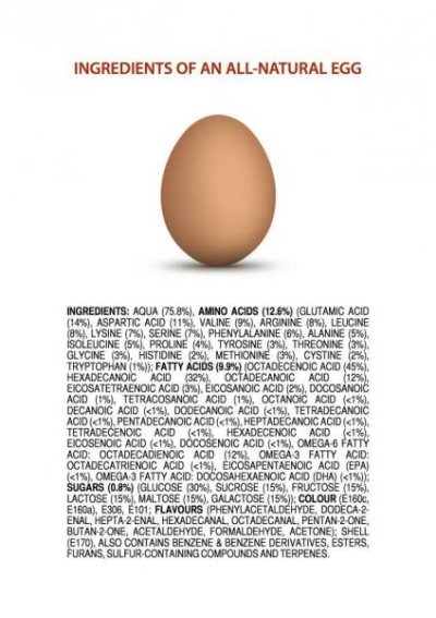 ingredients-of-an-all-natural-egg2.jpg