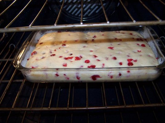Cranberry Cake.jpg