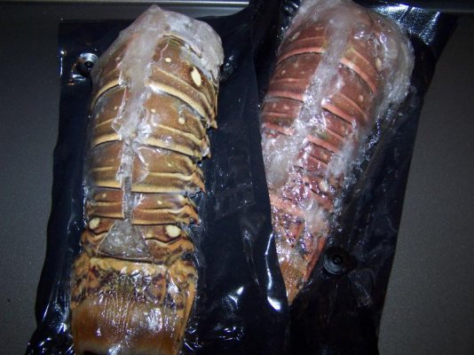 Lobster tails before.jpg