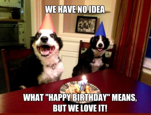 happy_birthday_dogs.jpg