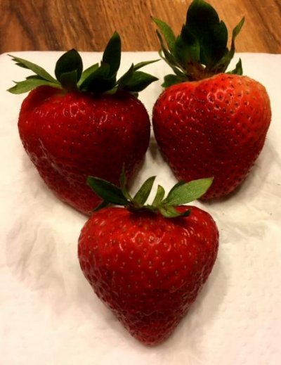 strawberries_061119_IMG_5883.jpg