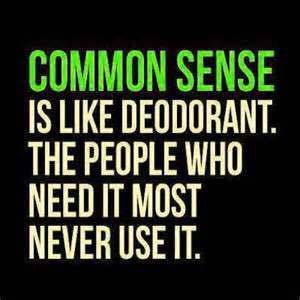 common sense.png
