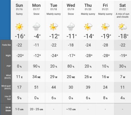 Screenshot 2022-01-15 at 11-57-47 Dollard-des-Ormeaux, Quebec 7 Day Weather Forecast - The Weath.jpg
