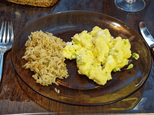 French omelette and rice pilaf.gif