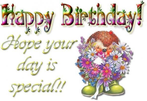 Happy_Birthday_Hope_Your_Day_Is_Special[1].jpg