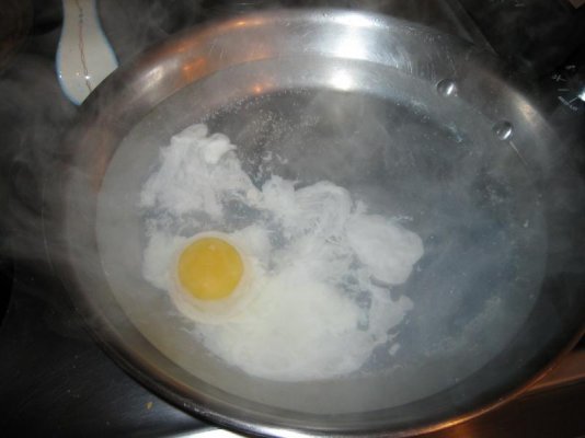 eggs 001.jpg