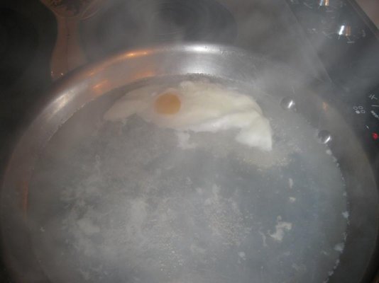 eggs 002.jpg