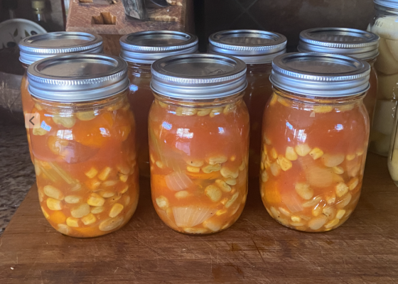 Canned Veggie Soup.png