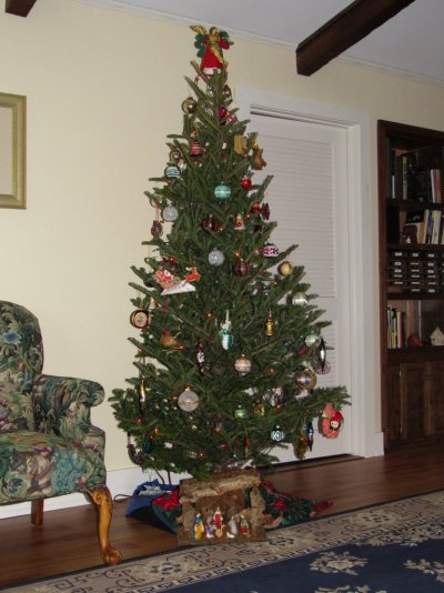 2015 Christmas Tree.jpg