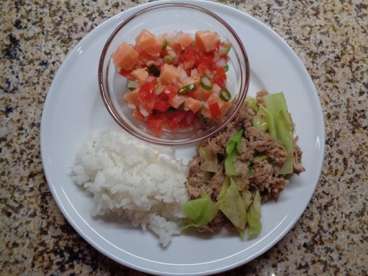 Kalua Pig with Cabbage Rice And homemade Lomi Lomi Salmon.JPG