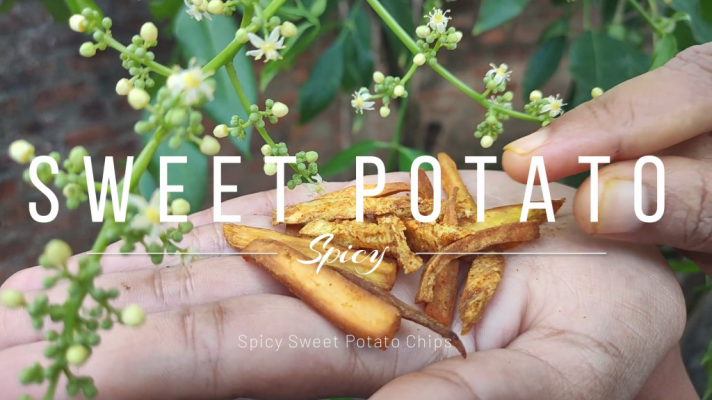 Crunchy and Flavorful Homemade Spicy Sweet Potato Chips.png