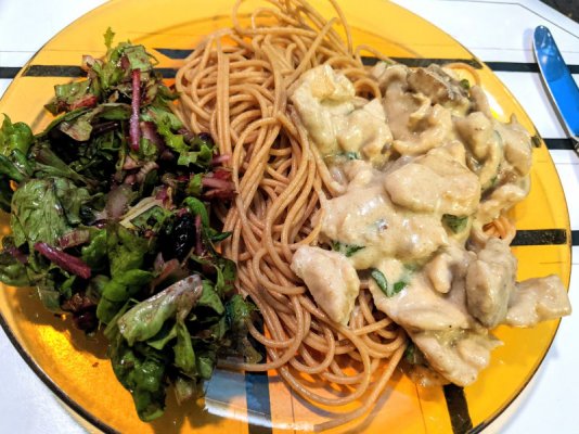 Chicken and lion's mane mushroom sauce with ww spaghetti and a salad sm.jpg