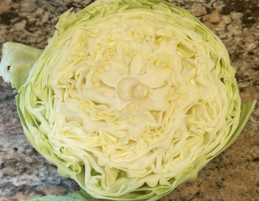 Cabbage 3 .png