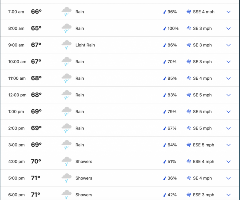 Weather Vacation 1 .png