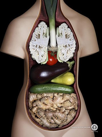 FoodArt-InternationalVegetarian-Anatomy.jpg