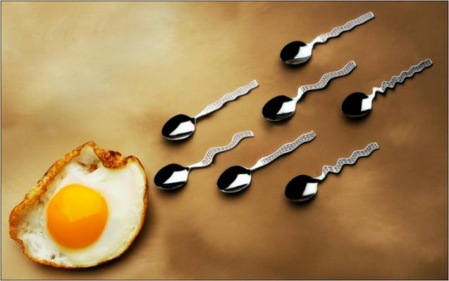 FoodArt - egg_spoons.jpg
