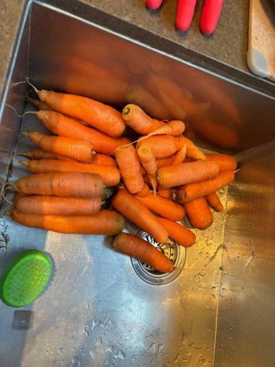carrots265.jpg