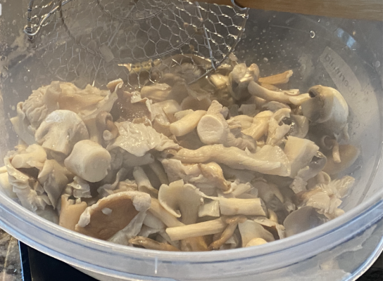 Boiled shrooms.png