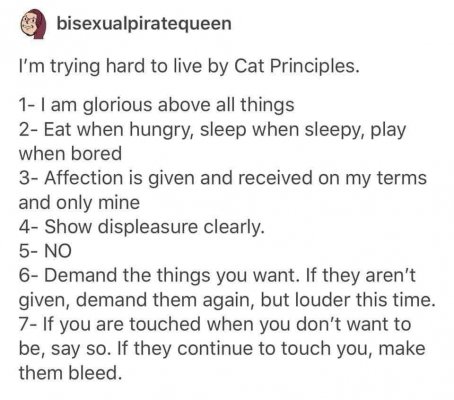 Living by Cat Principles.jpg
