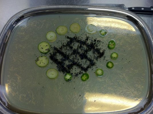 Silver Platter Design, with Aspic covering and thinly sliced jalapenos and cucumbers.jpg