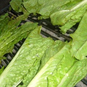 My favorite - Grilled Romaine