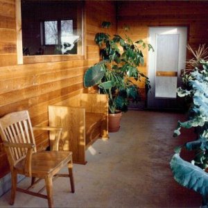 Greenhouse late winter 1992