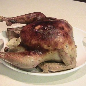 Thanksgiving Turkey...the moistest turkey I have ever had