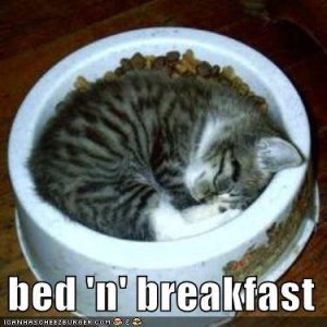 bed n breakfast
