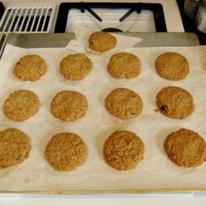 The Oatiest Oatmeal Cookies Ever