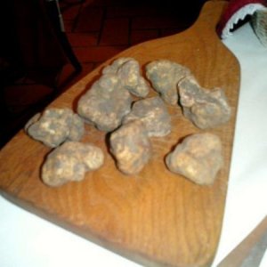 white truffles in Modena