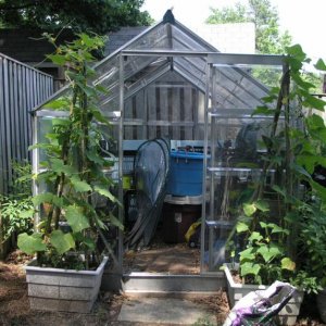 Cucumber Poles & Greenhouse