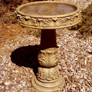 I have wanted to treat my little feathered friends for some time and decided to take the plunge and invest in a bird bath worthy of the bird populatio