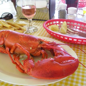 This is the lobster I got on my camping trip up to Maine.  It was unbelievable!
