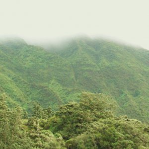 My cloudy day on Pali lookout