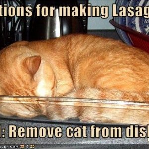 how to make lasagna