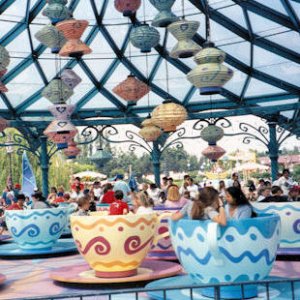 Tea cups at Disney.