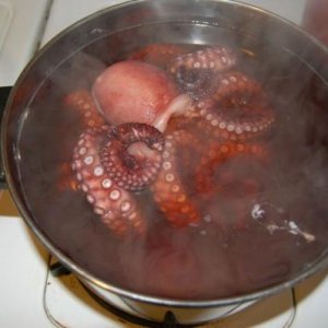 Blanching octopus.