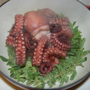 Octopus in the dutch oven ready to braise.