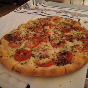 Fresh Tomato, Mozzarella and Oregano Pizza