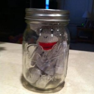 We were making pickles; someone was clowning around.  Get out of the jar, Tripod!