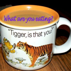 what are you eating tigger mug coffee 072009 P1030531