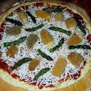 Morral mushrooms & Asparagus Pizza