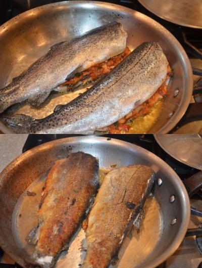 Click image for larger version

Name:	trout2.jpg
Views:	217
Size:	56.2 KB
ID:	38147