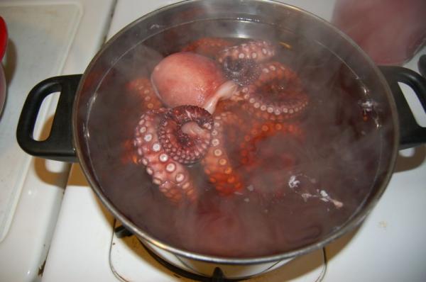 Blanching octopus.