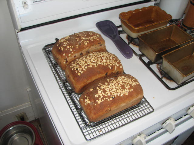 Cinnamon Raisin Oatmeal Bread
baked 19may2008