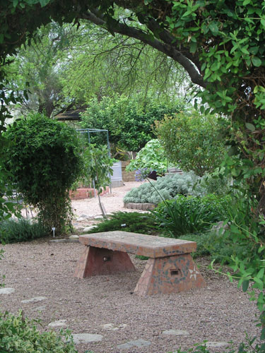 I volunteer at the "Farm" at Agricultural Extension in Tucson, AZ. This is a demo garden.